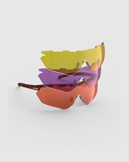 Tortoise with HD Medium, Dark Purple, Medium Yellow Lenses