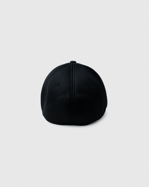 Mesh Flex Fit Hat